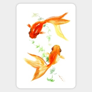 Goldfish KOI, Feng Shui design Sticker